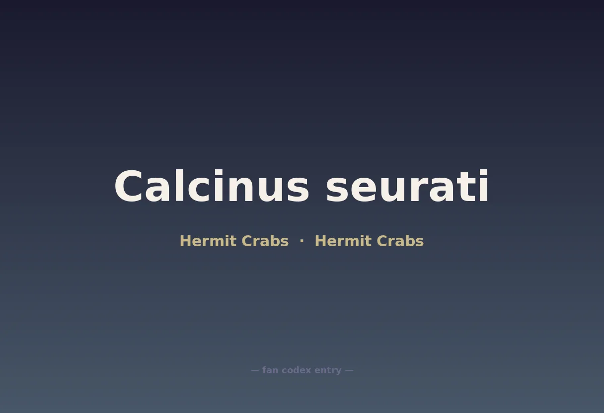 Calcinus seurati