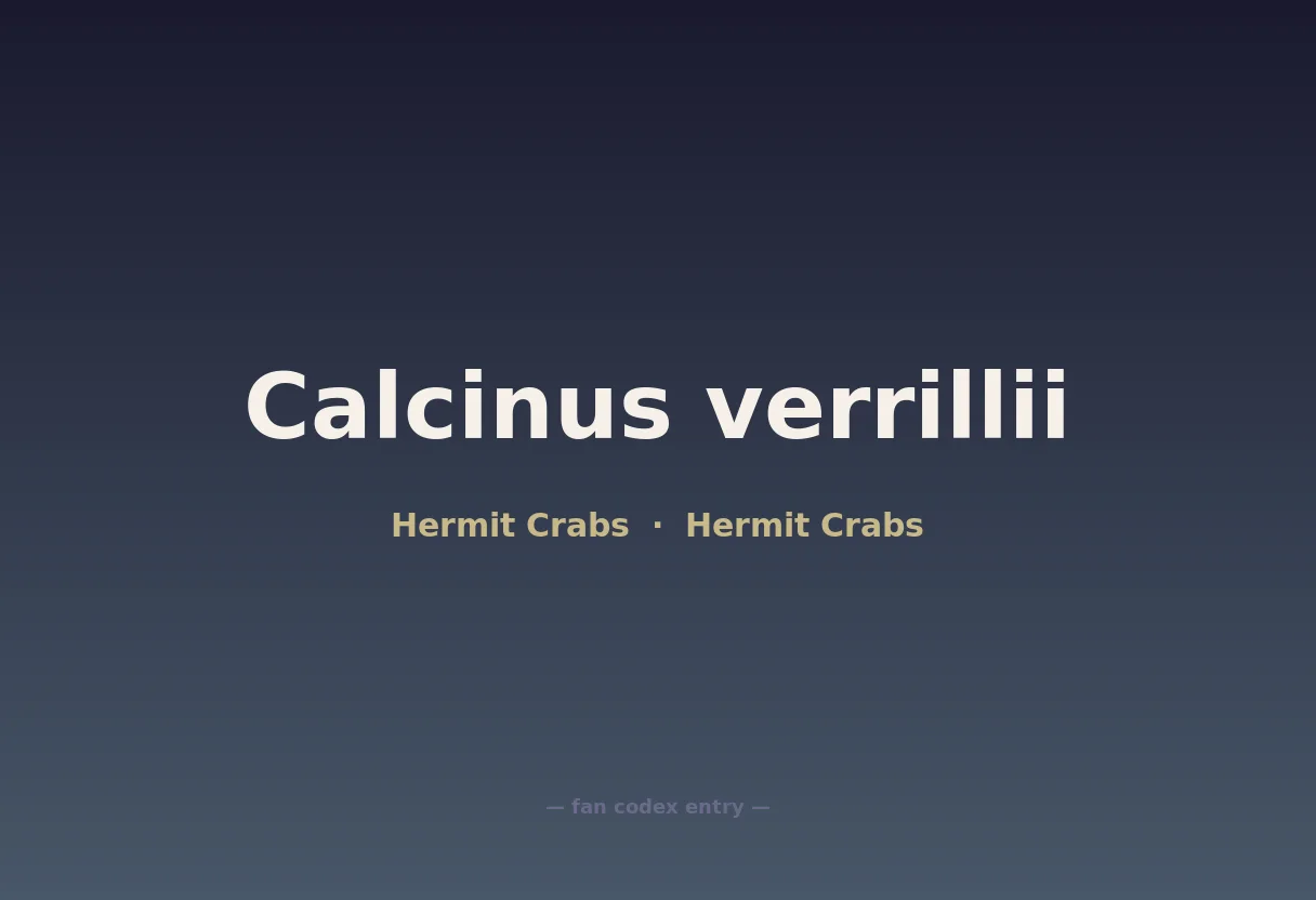 Calcinus verrillii