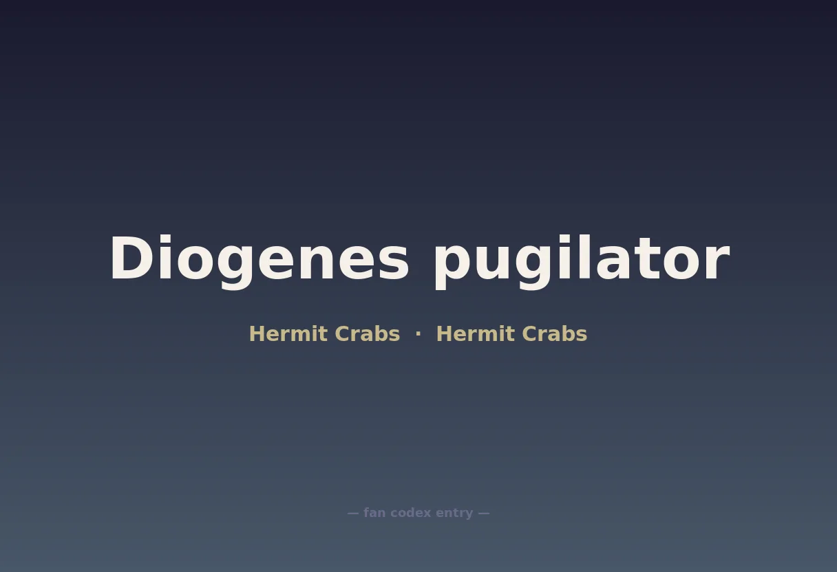 Diogenes pugilator