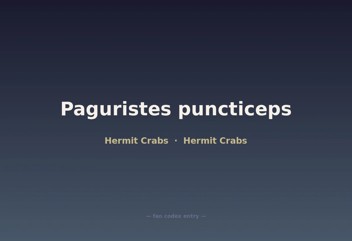 Paguristes puncticeps