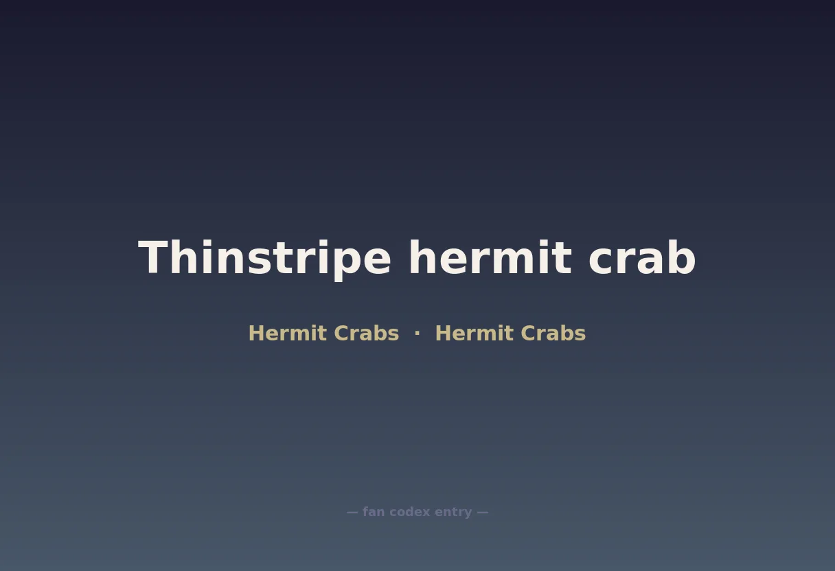 Thinstripe hermit crab