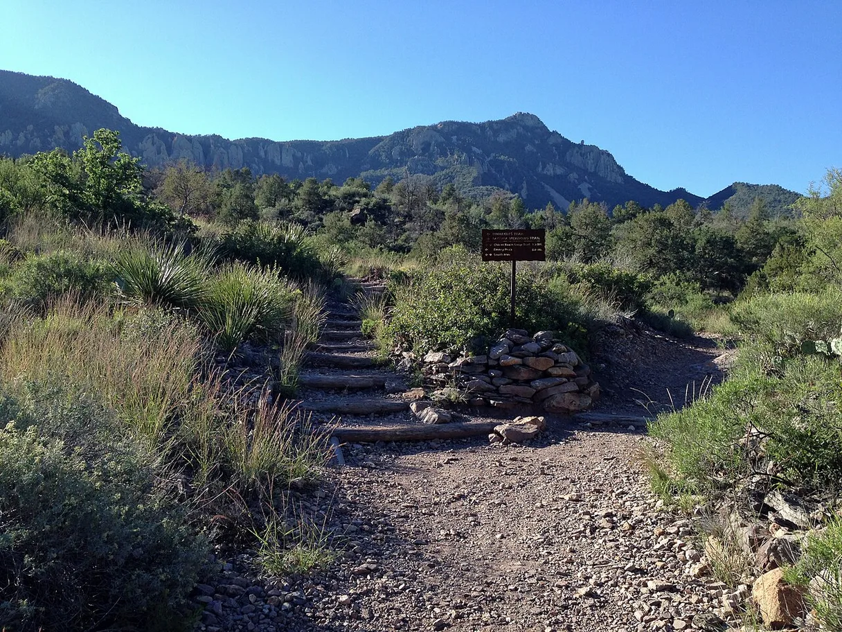 Emory Peak