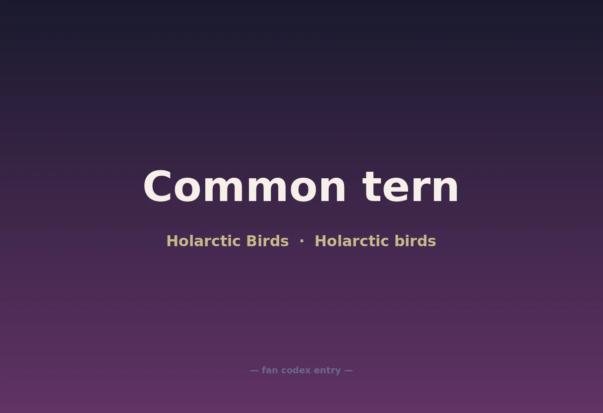 Common tern
