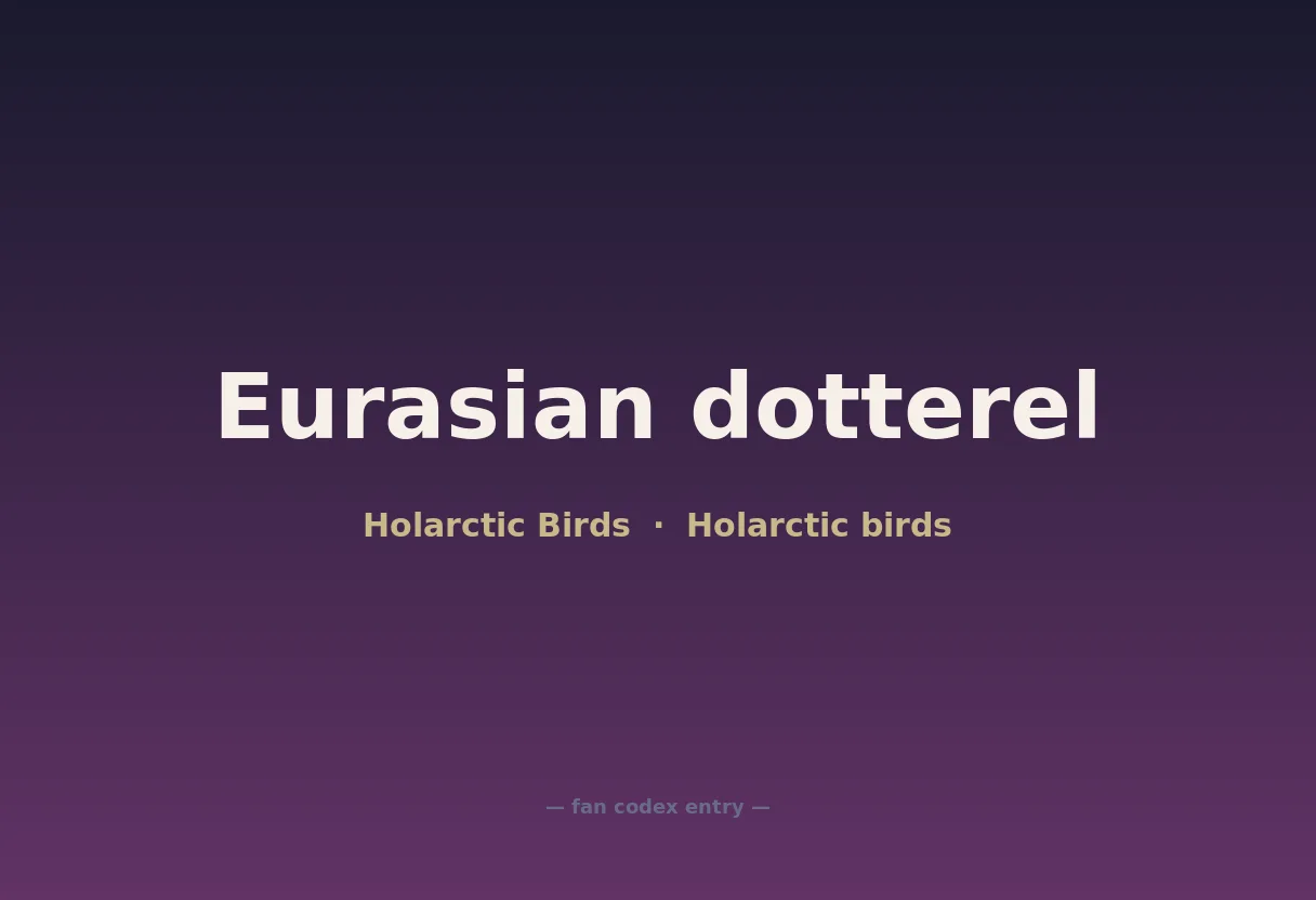 Eurasian dotterel