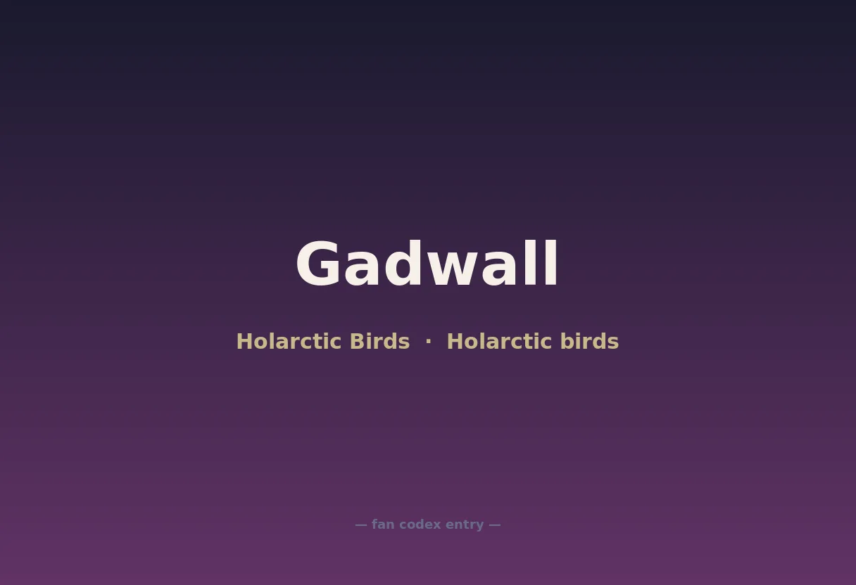 Gadwall