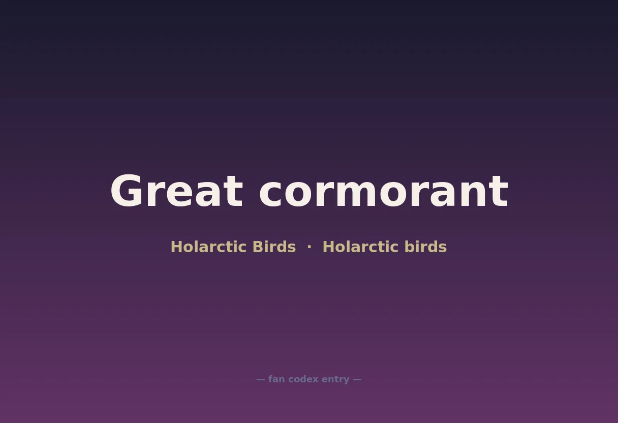 Great cormorant
