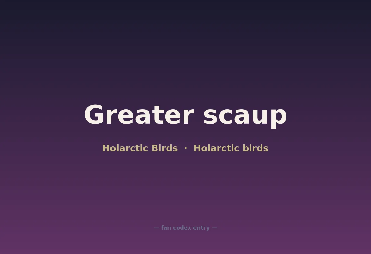 Greater scaup
