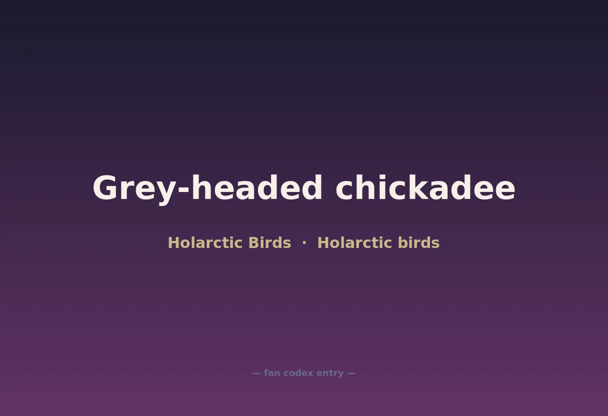 Grey-headed chickadee