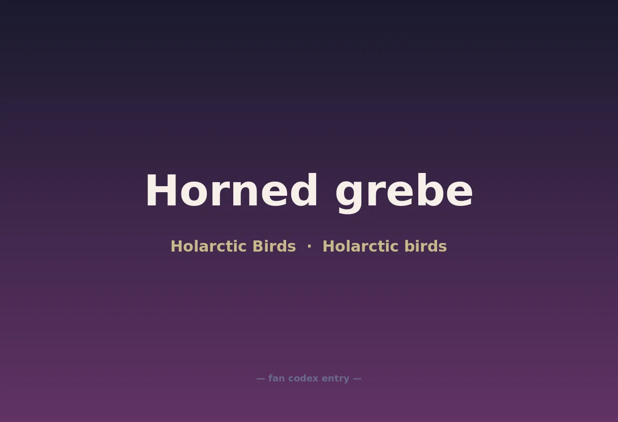 Horned grebe
