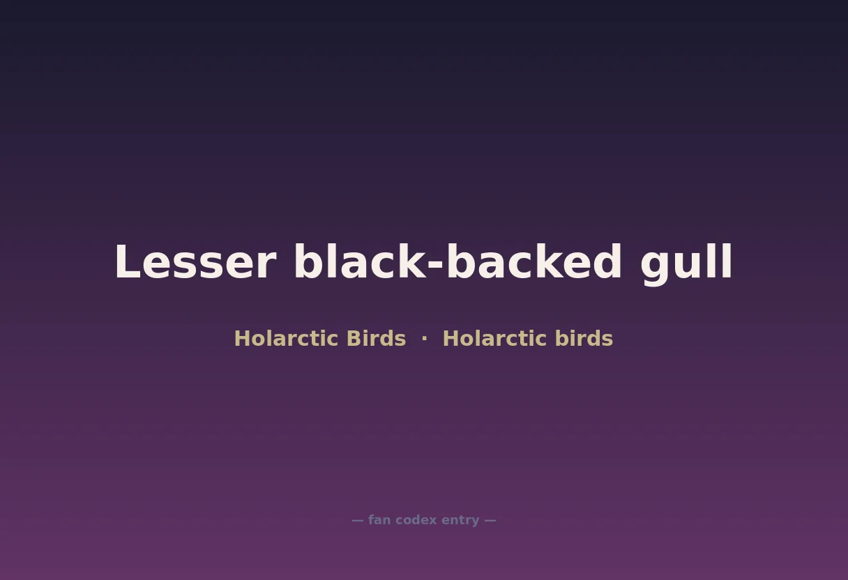 Lesser black-backed gull