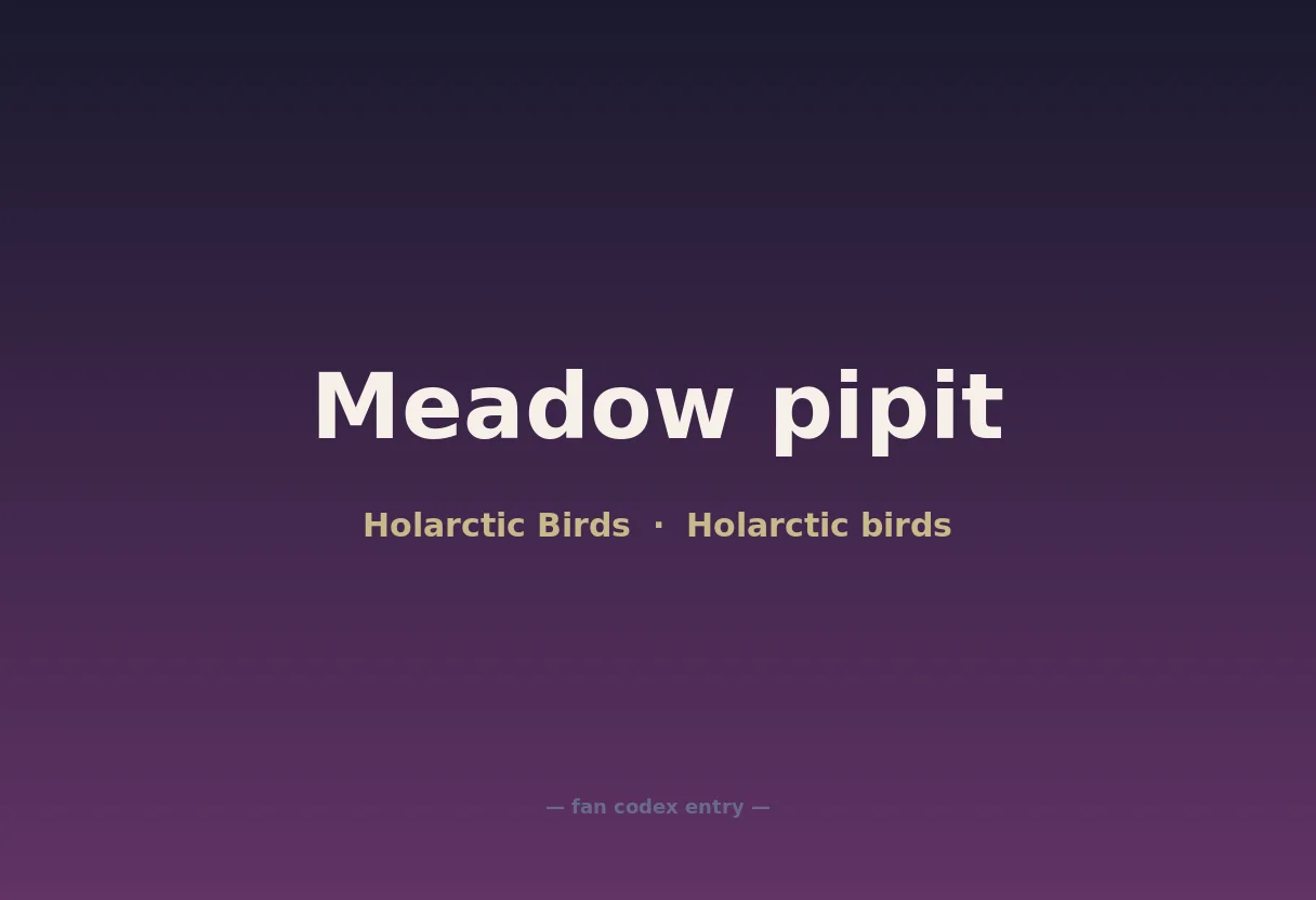 Meadow pipit