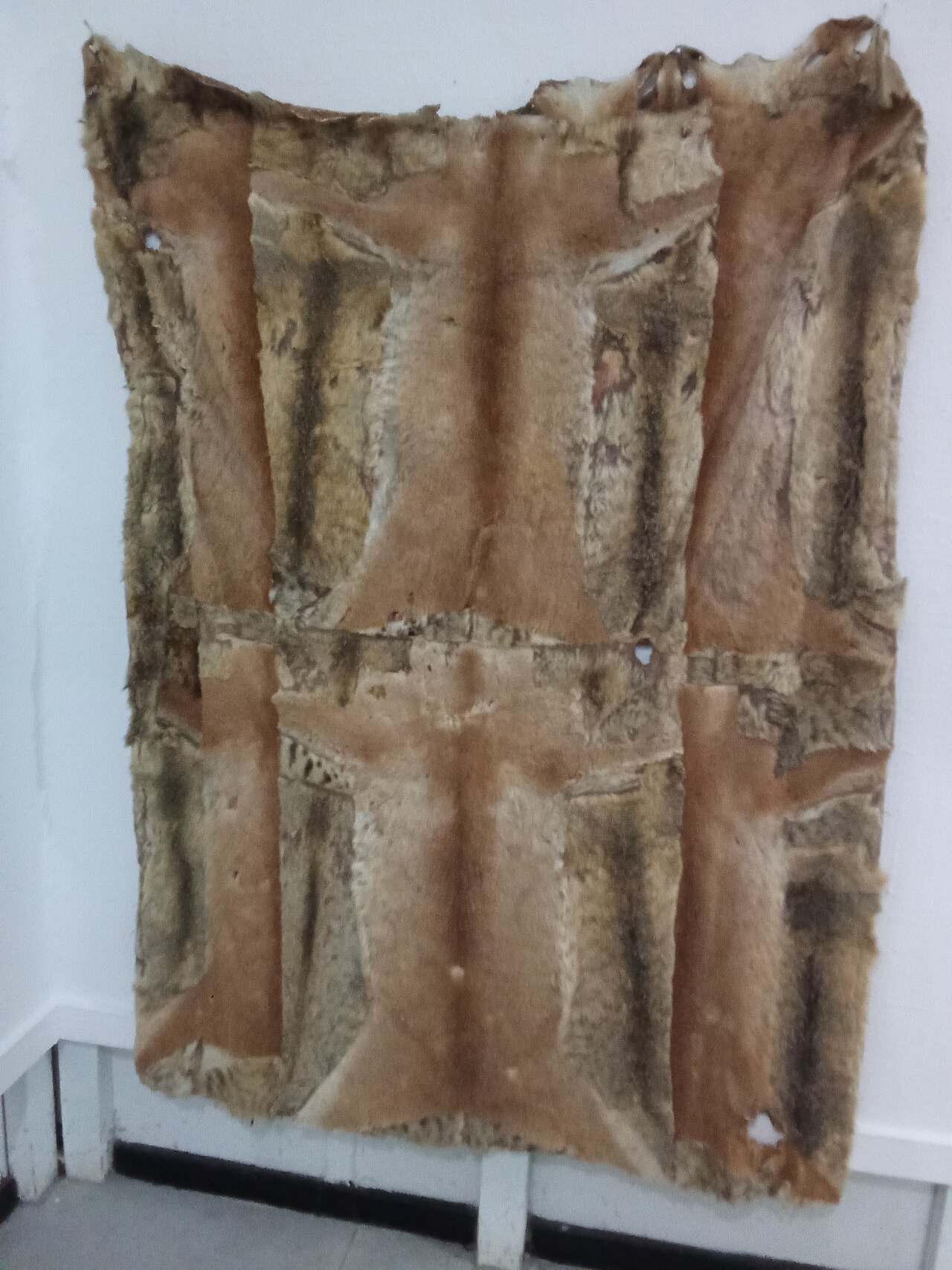 Animal skin blanket