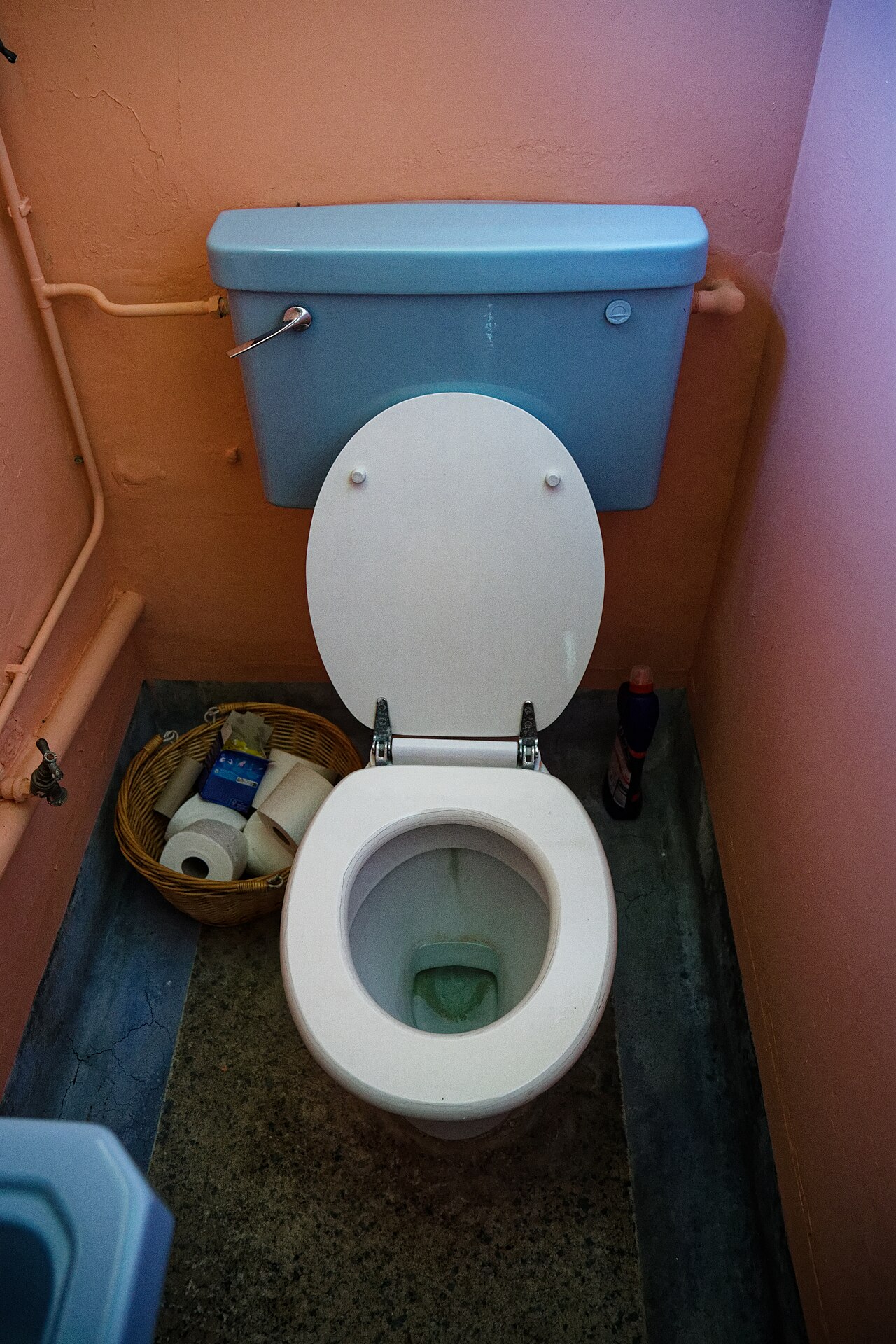 Essex flush toilet room