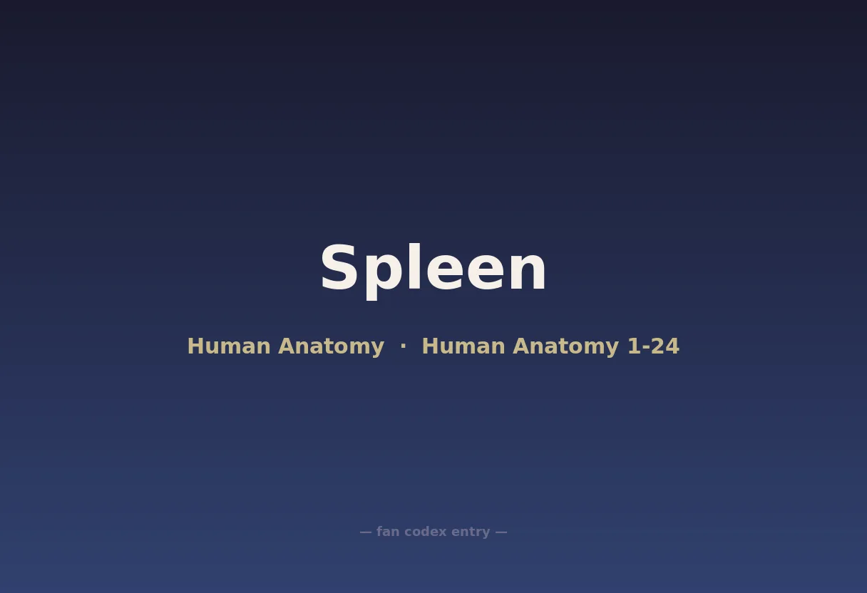 Spleen