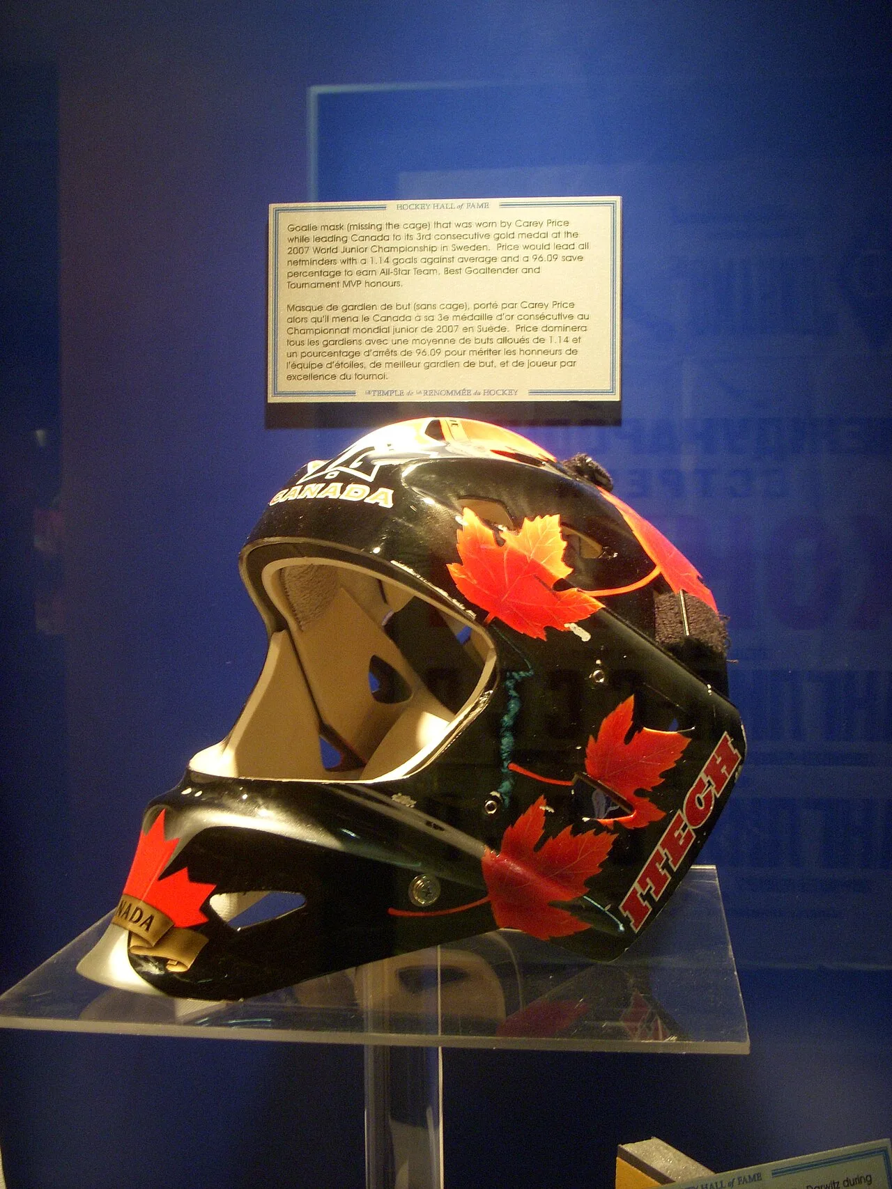 Goaltender mask
