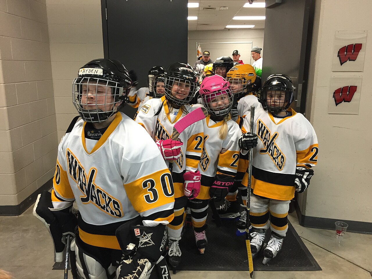 Hockey helmet