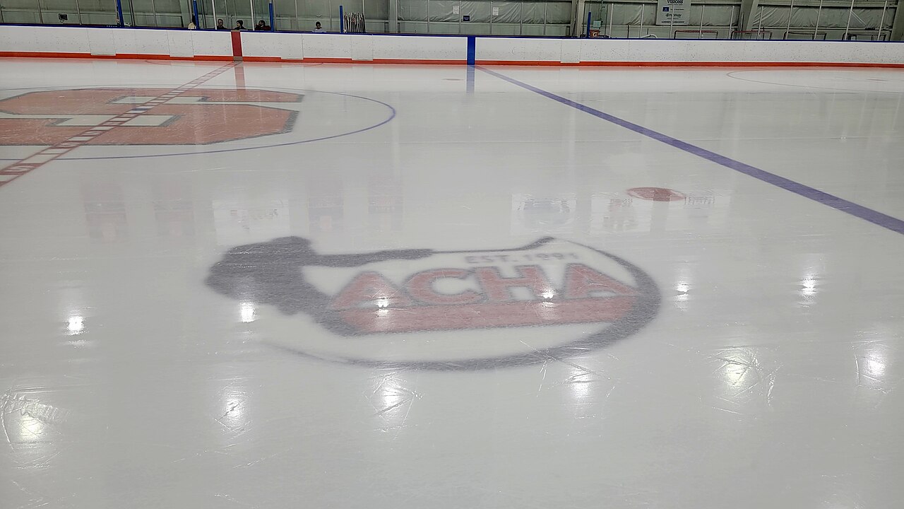 Hockey skates