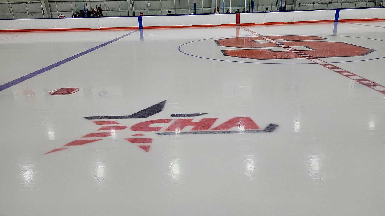 Hockey skates