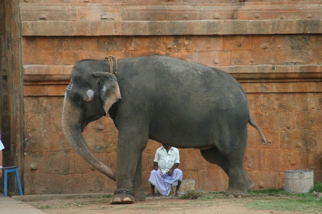 Balaganapathy