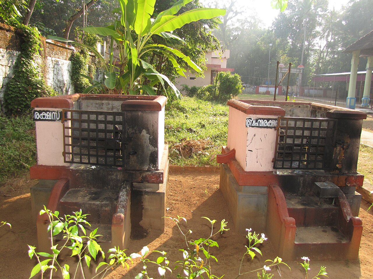 Brahmarakshas