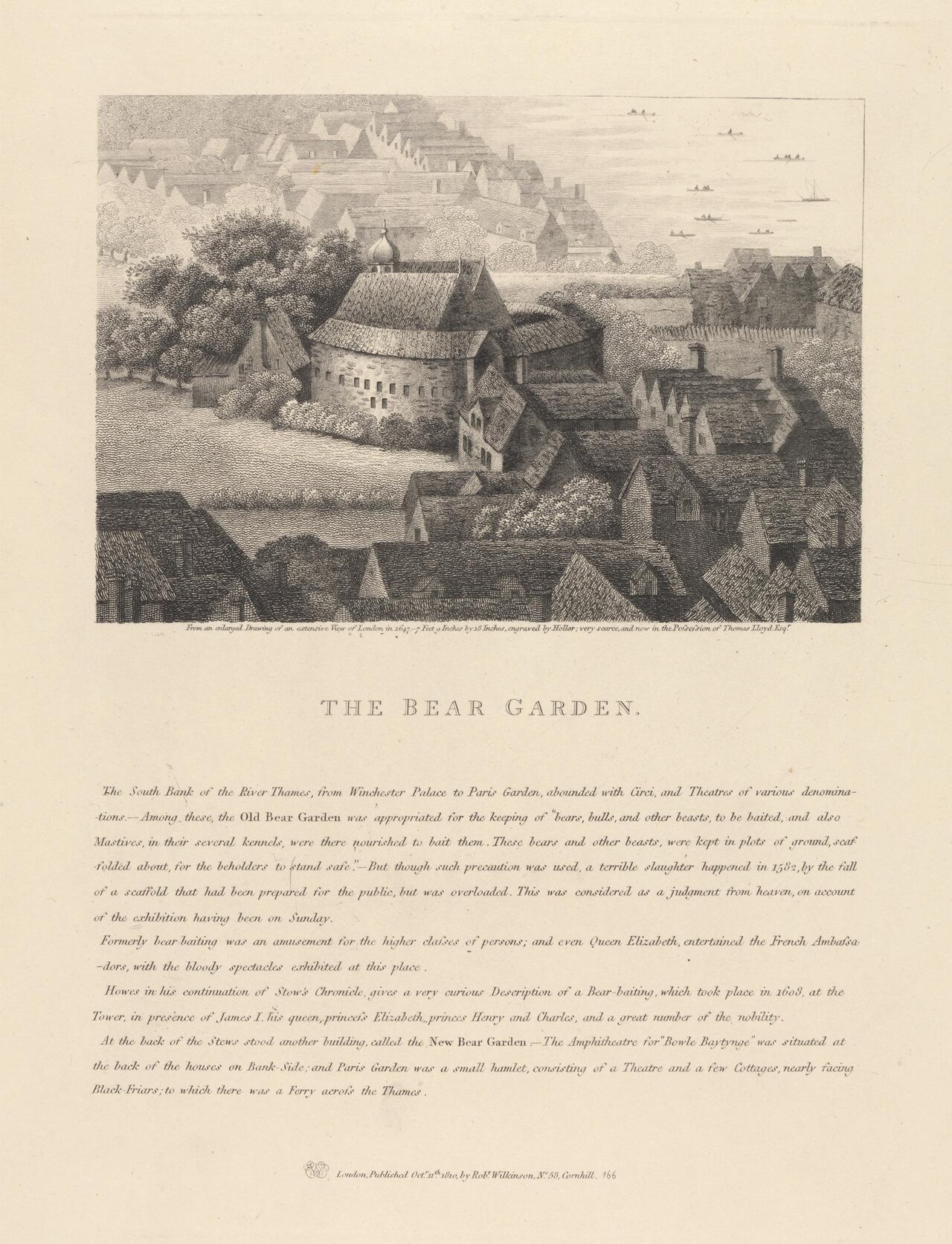 The Bear and the Gardener