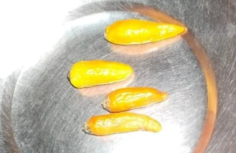 Almora Lakhori Mirchi