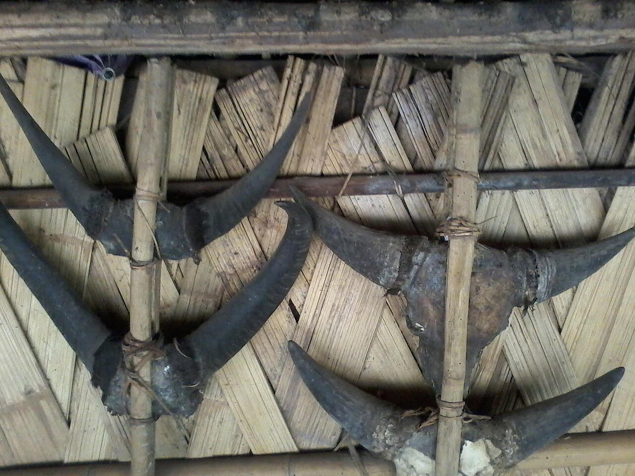 Arunachal Pradesh
