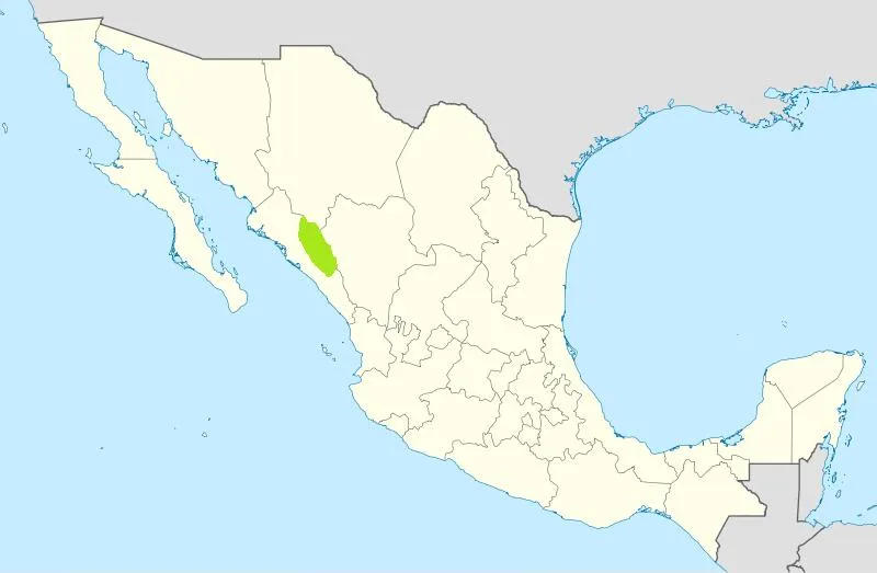 Acaxee Rebellion