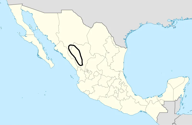 Tepehuán Revolt