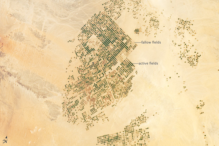 Agricultural Fields, Wadi As-Sirhan Basin, Saudi Arabia - NASA Earth Observatory