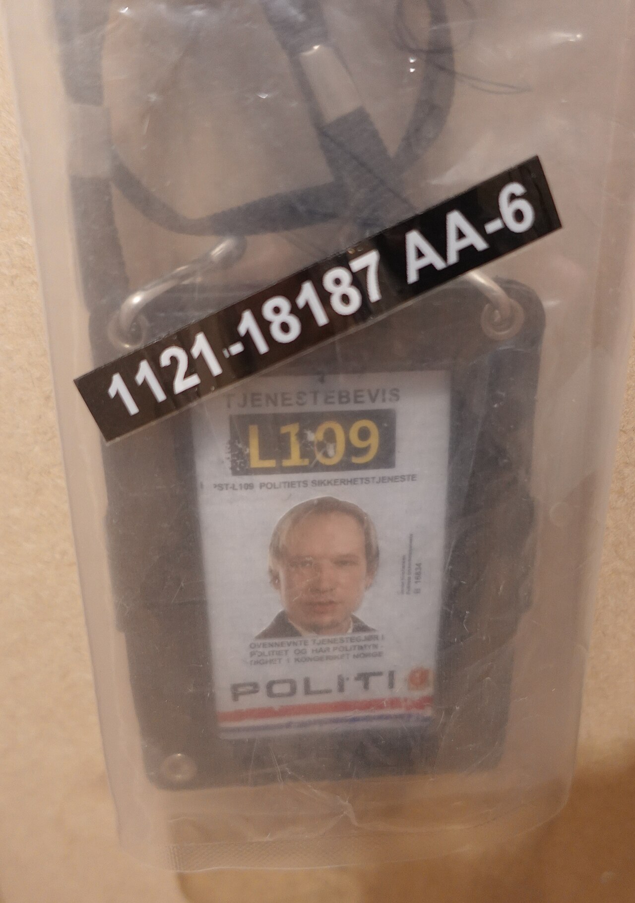 Anders Behring Breivik