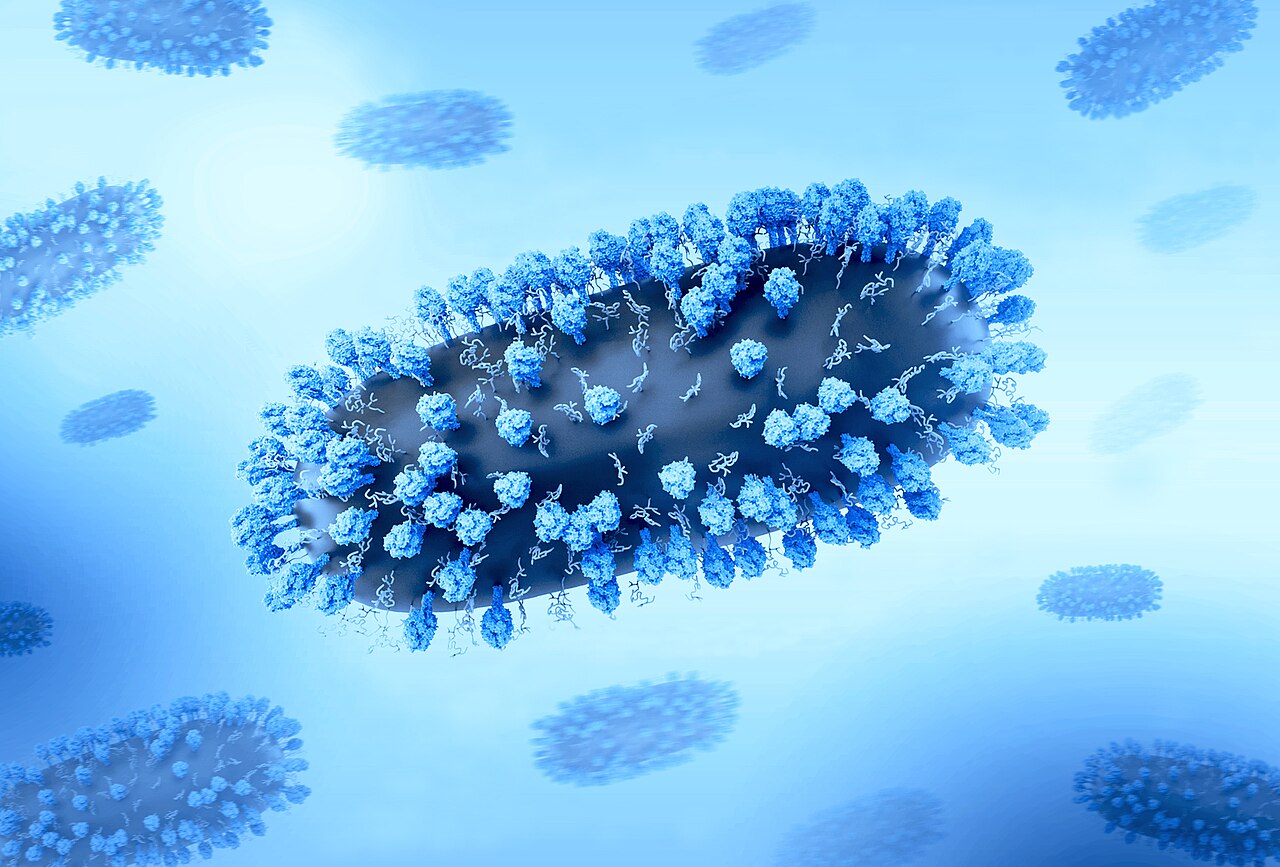 Respiratory syncytial virus