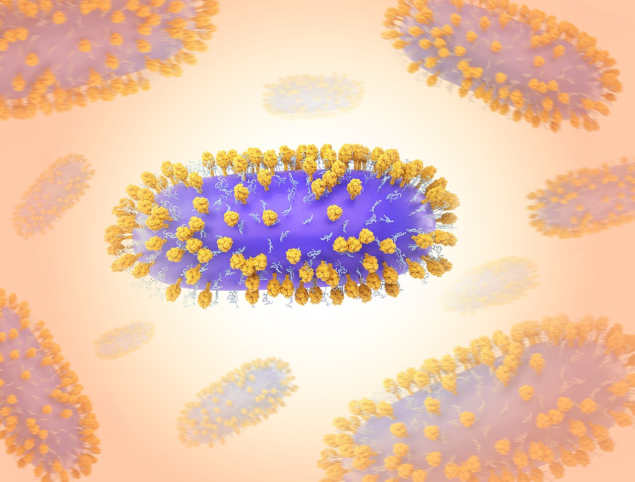 Respiratory syncytial virus