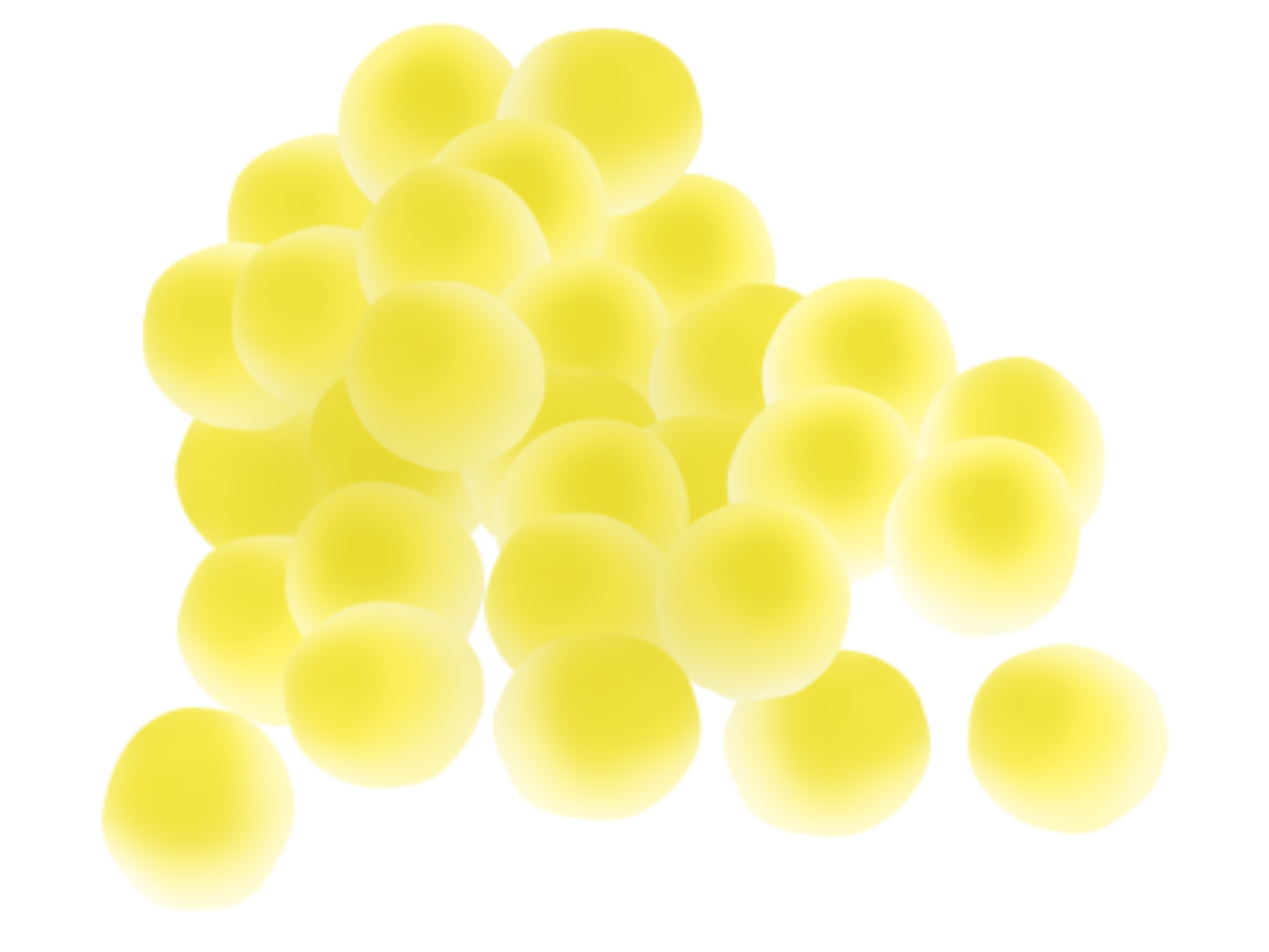 Staphylococcus aureus