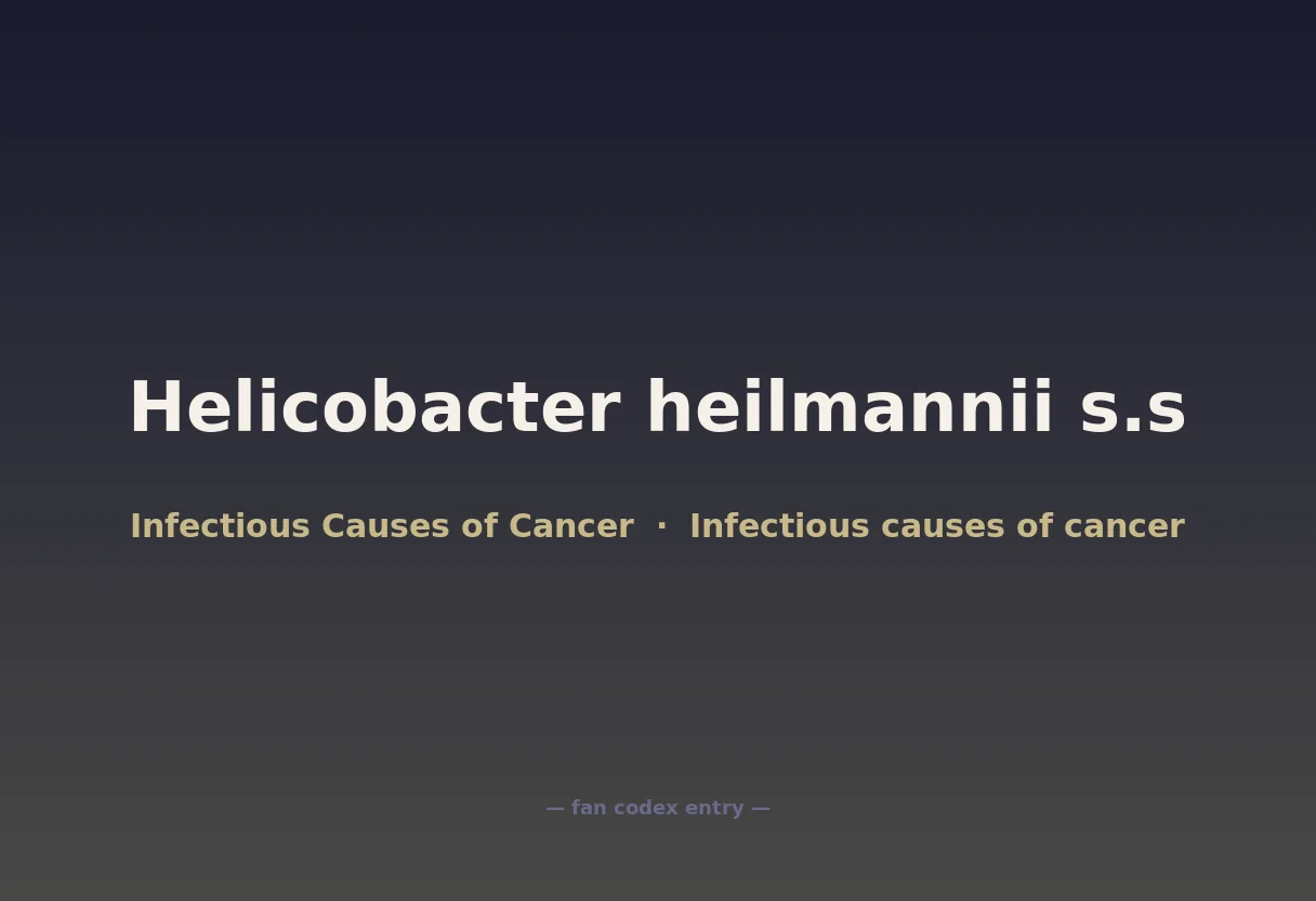 Helicobacter heilmannii s.s