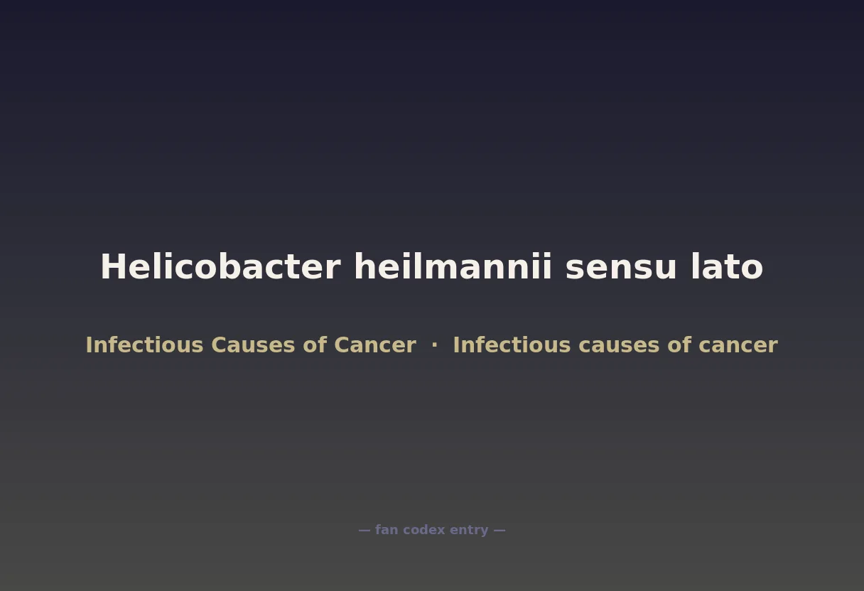 Helicobacter heilmannii sensu lato