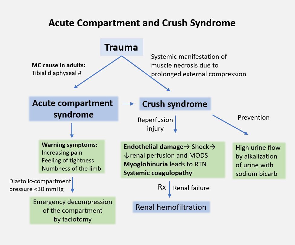 Crush syndrome