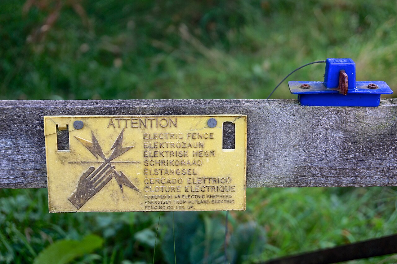 Electrocution