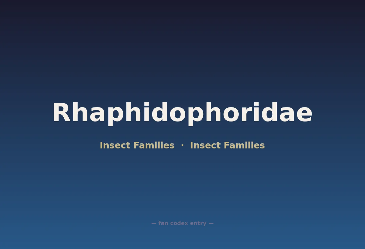 Rhaphidophoridae