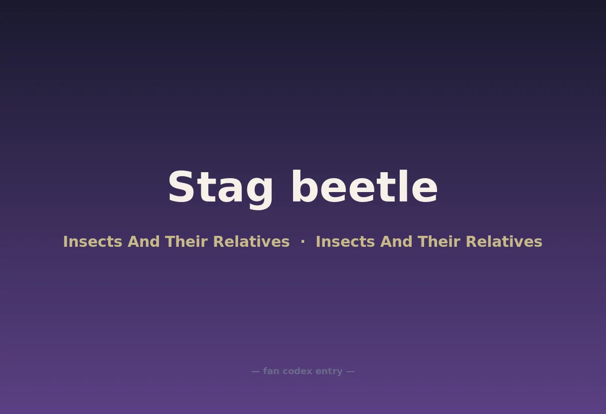 Stag beetle
