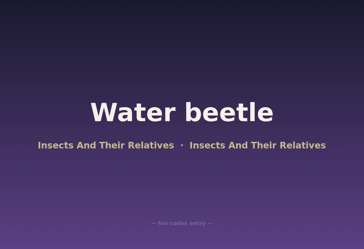 Water beetle
