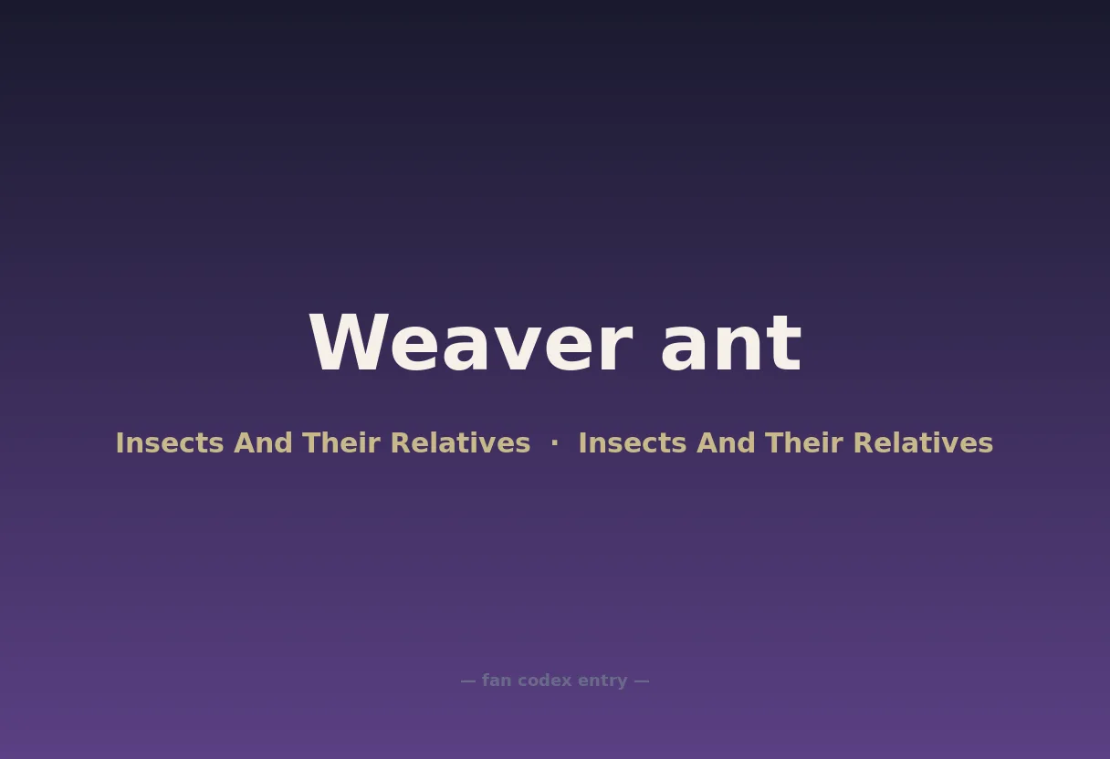 Weaver ant