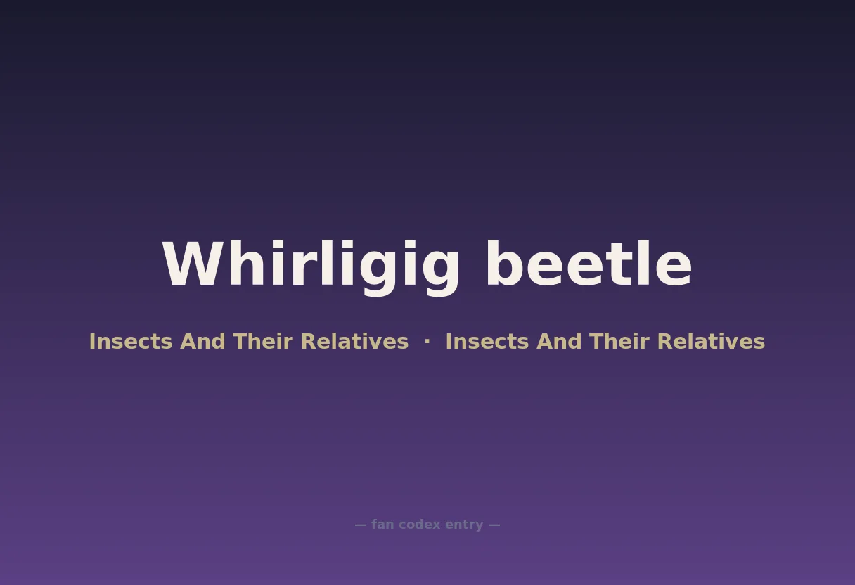 Whirligig beetle