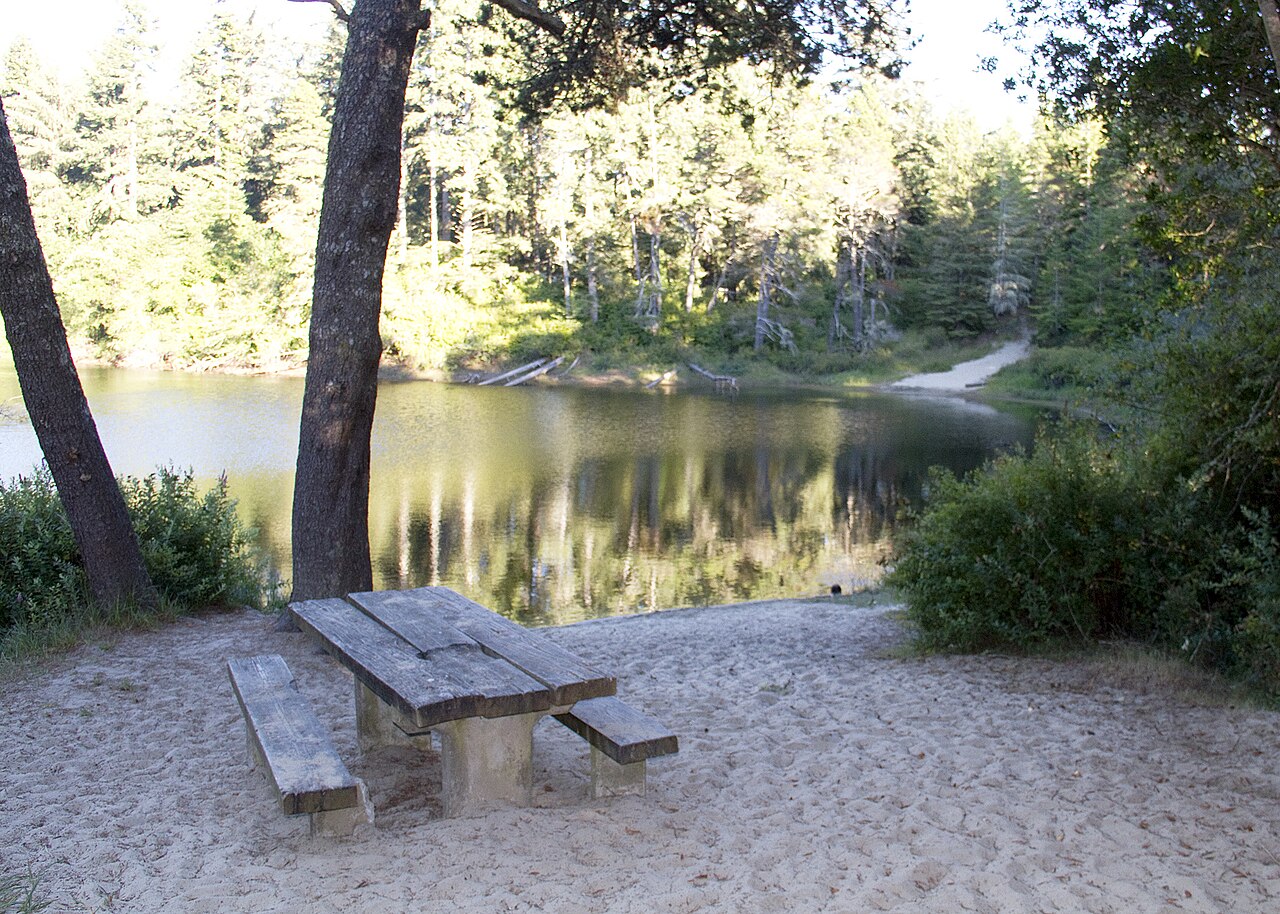 Alder Lake