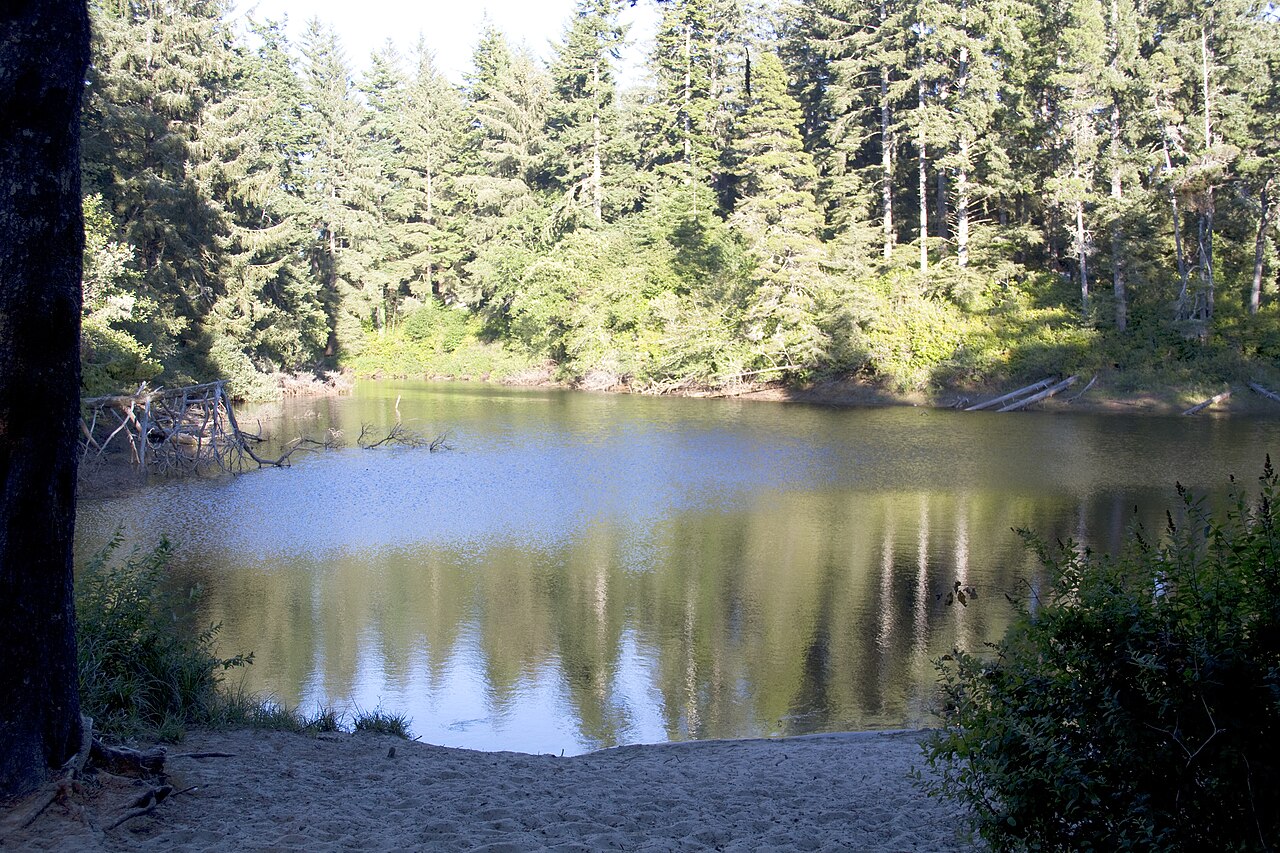 Alder Lake