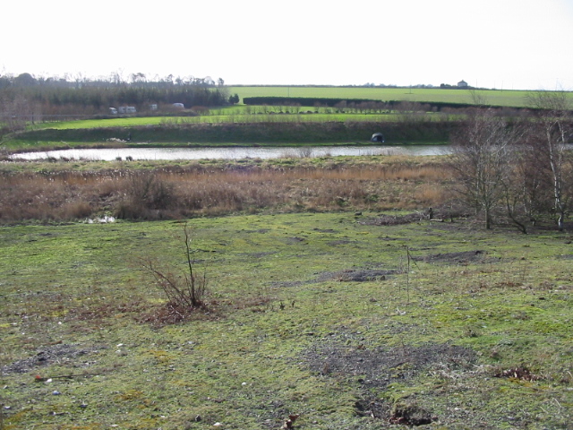 Alder Lake