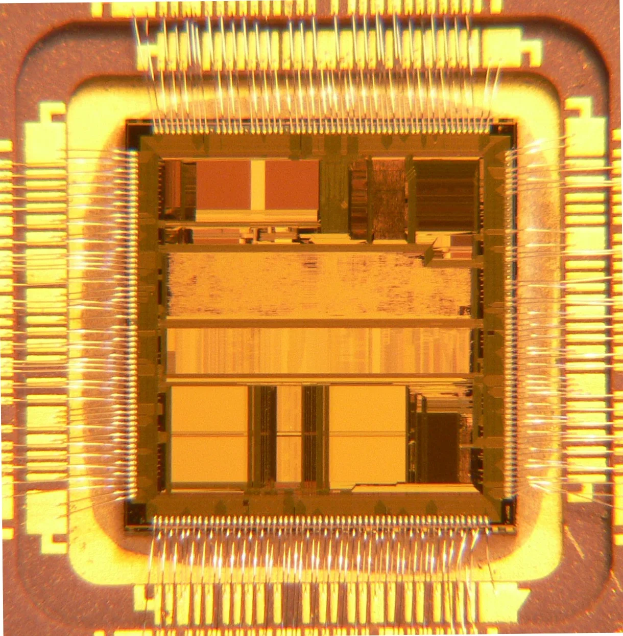 Am486