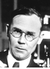 Wallace Carothers