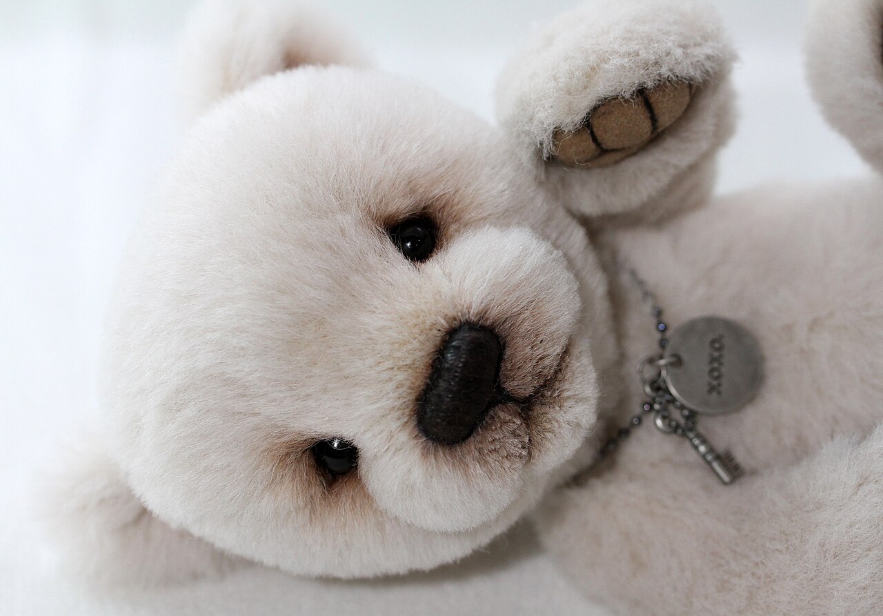 Bear's Kiss