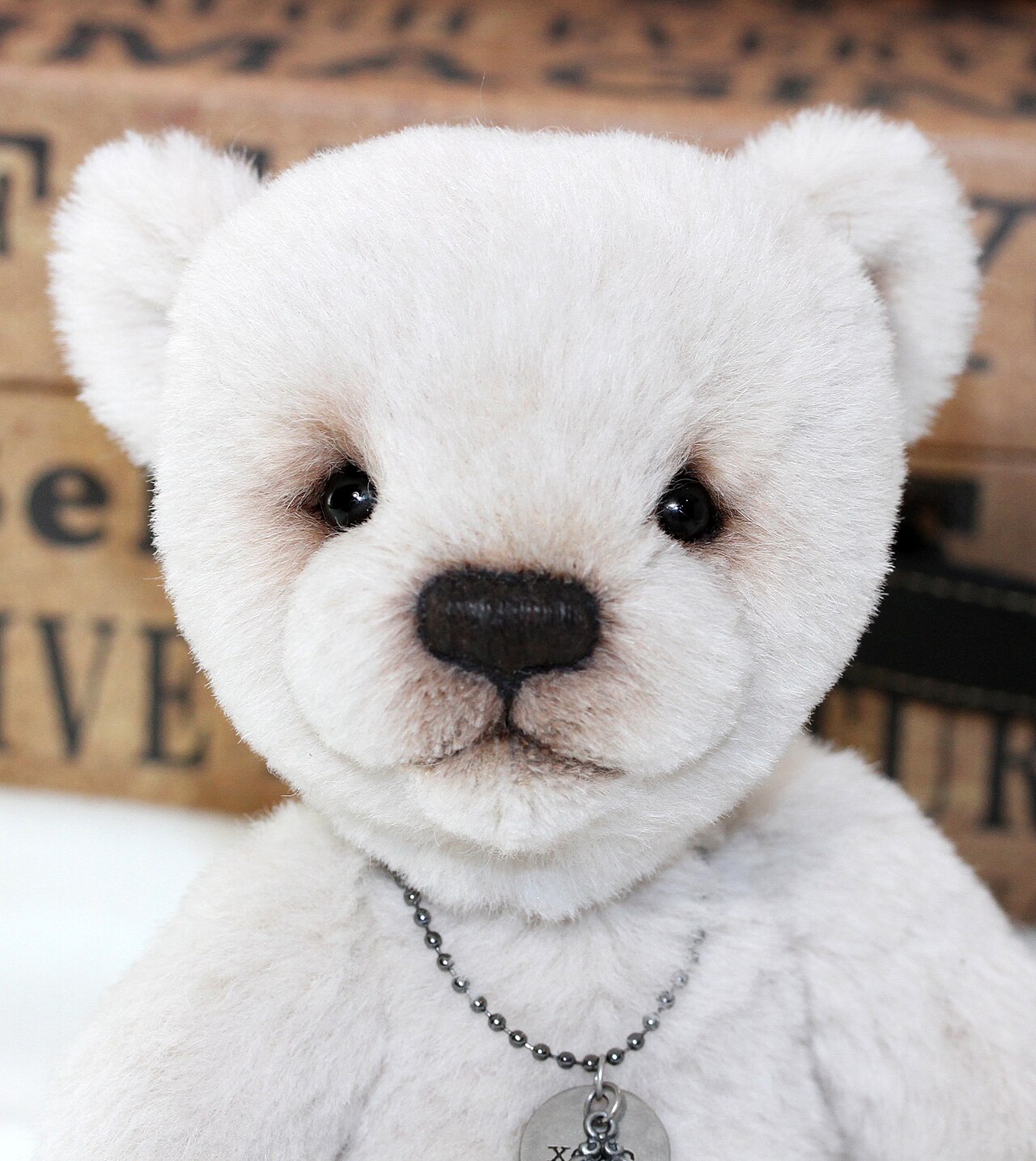 Bear's Kiss
